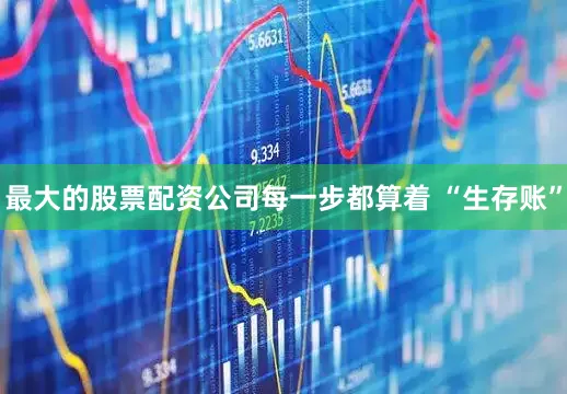最大的股票配资公司每一步都算着 “生存账”