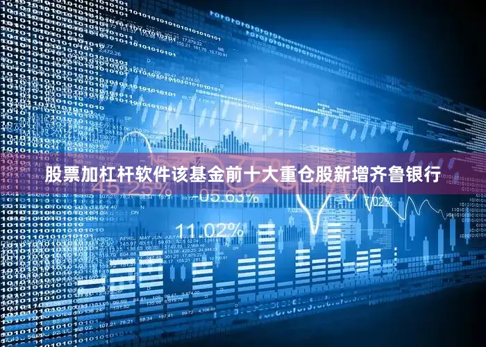 股票加杠杆软件该基金前十大重仓股新增齐鲁银行