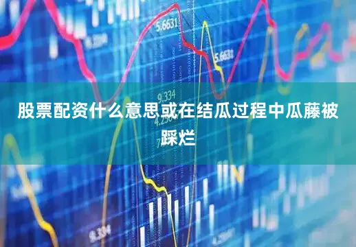 股票配资什么意思或在结瓜过程中瓜藤被踩烂